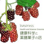 hascrossロゴ2023